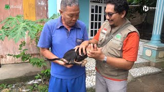 Cegah Rabies Pemkab Pinrang Siapkan Ribuan Vaksin Dan Dirikan Rabies Center Di Puskesmas