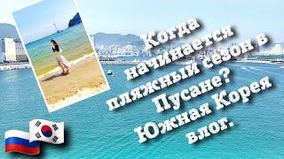 Когда начинается пляжный сезон в Пусане? Южная Корея влог.