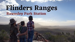 Where to next? | Flinders Ranges | Rawnsley Park Station | Arkapena track