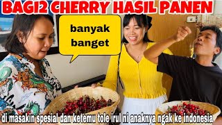 BAGI2 CHERRY HASIL PANEN & DI MASAKIN ENAK MALAH KETEMU TOLE IRUL TERNYATA TIDAK KE INDONESIA