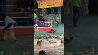 Download Lagu Pasiennya jangan di tinggal nyet...  #tiktoklucu #tiktokviral MP3