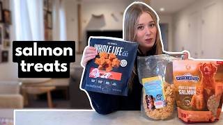 Best salmon treats for cats – coat transformation (budget to luxury!)