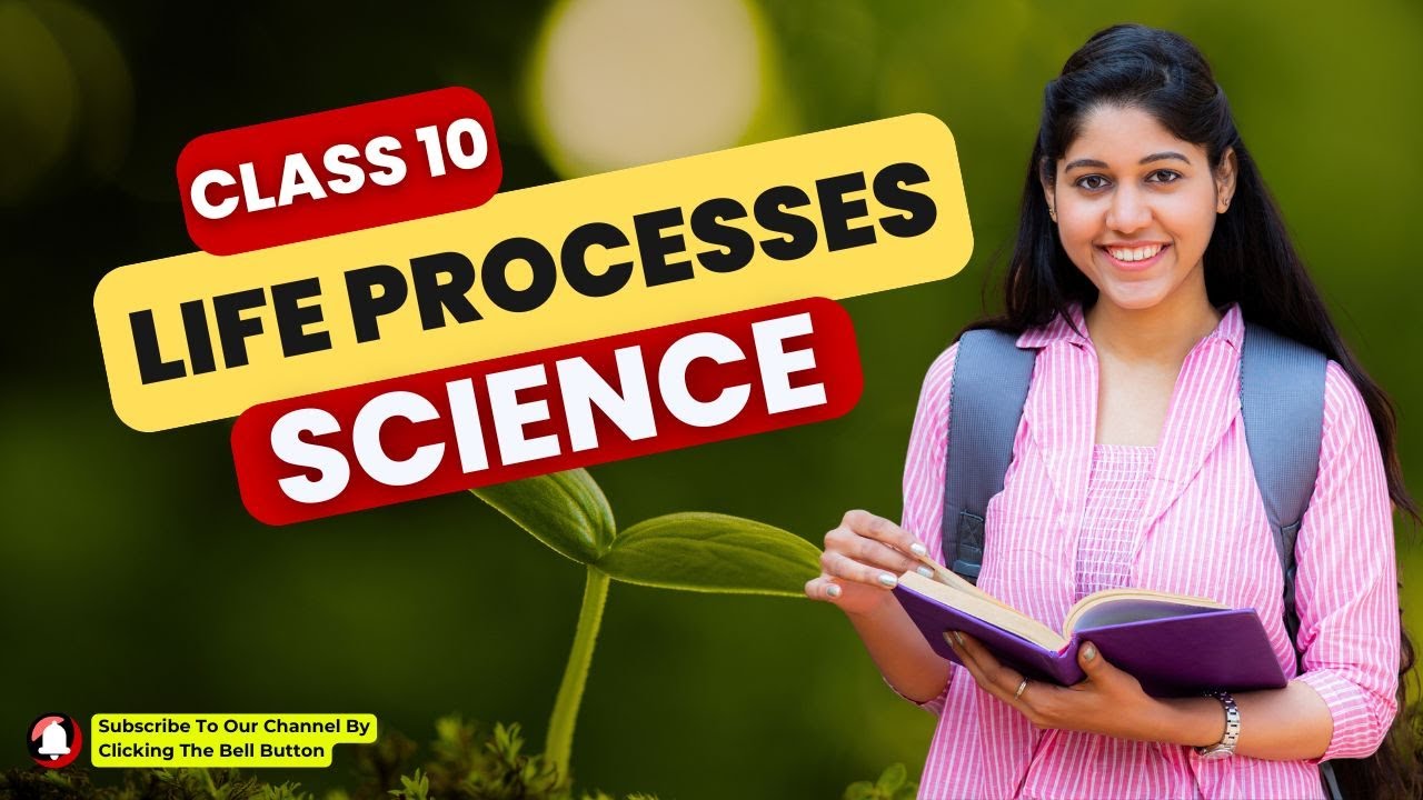 Life Processes Class 10 Science | Class 10 Biology Chapter 5 ...