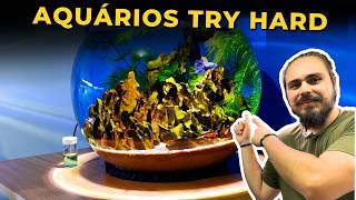 🔴OS AQUÁRIOS DE GUPPYS E CAMARÕES DO INSCRITO TRY HARD |Mr. Betta|