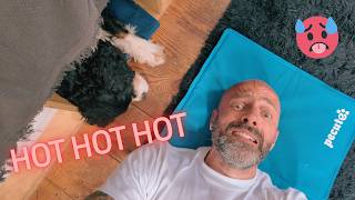 Staying Cool on a Narrowboat in 30°C Heat: What Actually Works
