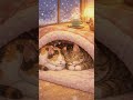 Cozy Kotatsu Cats #SnowyNightDreams #RelaxingSleep #CatASMR