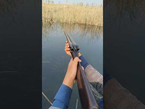 Classic Beauty: 12 Gauge Side-by-Side Shotgun