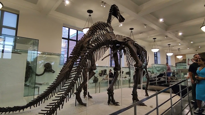 [vlog 4]: Museum of Natural History