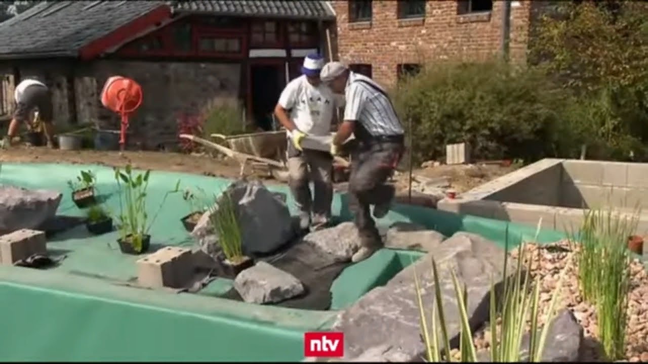 Строительство природного бассейна или пруда для купания | ПРУД ПРУДИ ...