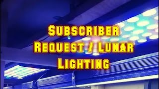 What Lunar Lights Do I Use? | Subscriber Request