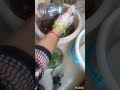 Diy office time plant grow in to water bottle#diy#creator#🙏🙏❤️❤️