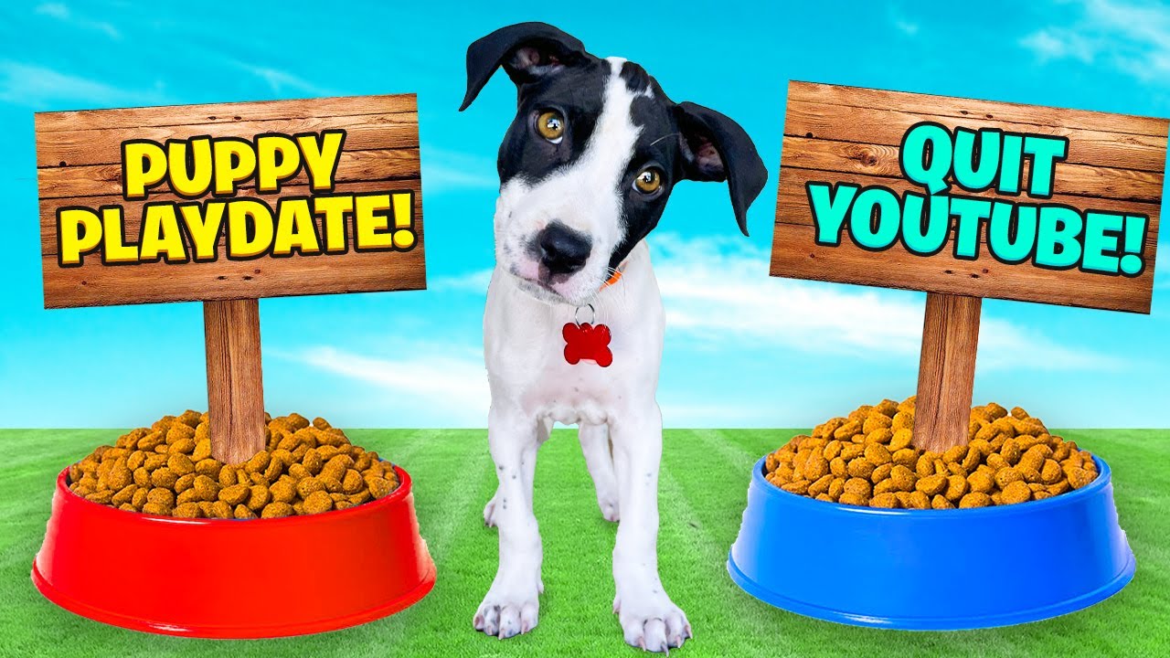 I Said YES to a PUPPY for 24 HOURS! *Adorable😍*