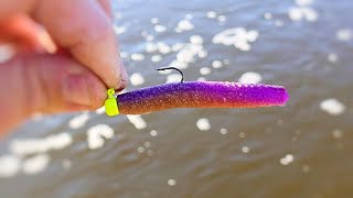 Canal Fishing for Perch with the NED Rig! (Z-man TRD)