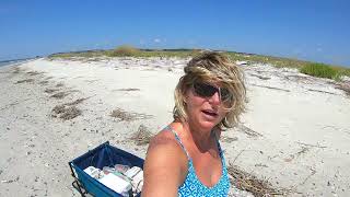 Summer shelling and identifying beach treasures washed up on a SC beach with beach lovers