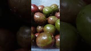 Sinigwelas spanishplum spondiaspurpurea Fruitishealthy FoodisLove FoodisLife @FoodisLife11