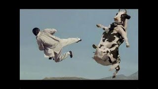 Kung Fu Panda Music Kung Pow Enter the fist -cow fight