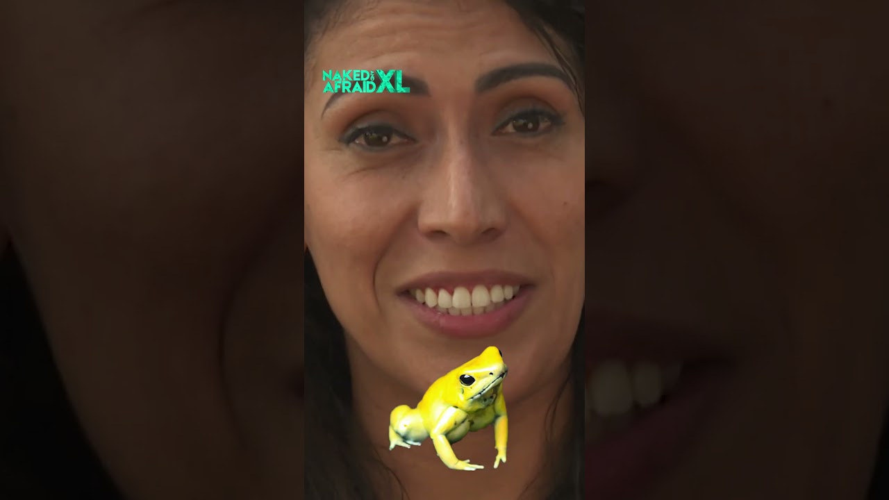 Film backdrop image for Terrifying Predators in Colombia (2024)