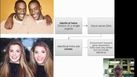 Biotechnology screencast session 4.mp4