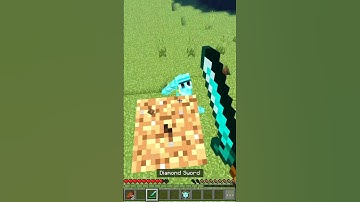Minecraft POV: You