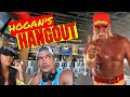 Hogans hangout clearwater beach fl  restaurant review