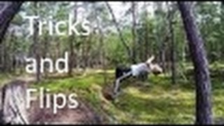 Tricks and flips - End of summer 2016
