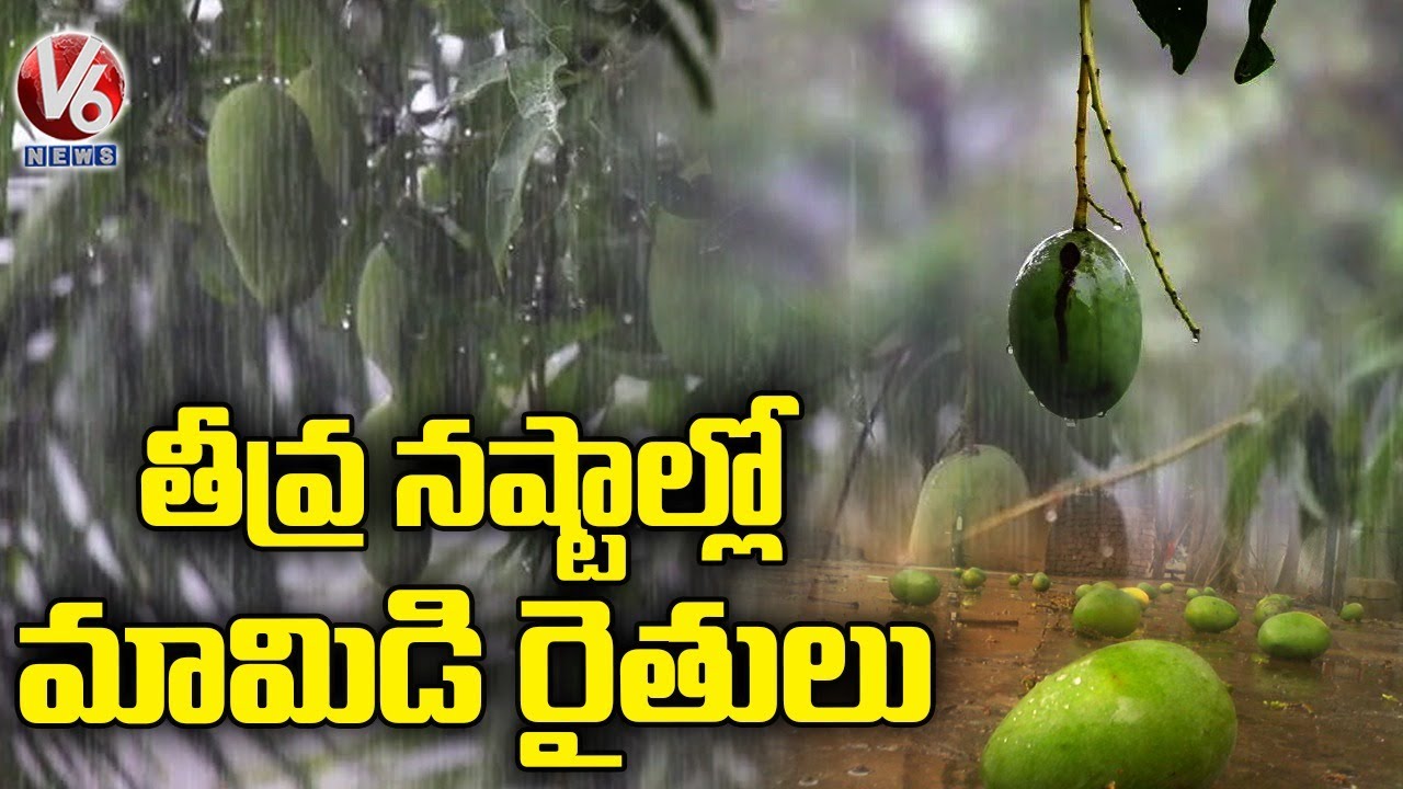 Karimnagar Heavy Rains : Farmers Face Huge Losses | V6 News - YouTube
