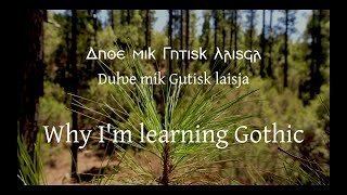 Download Lagu Why I'm learning Gothic – Duƕe mik Gutisk laisja MP3