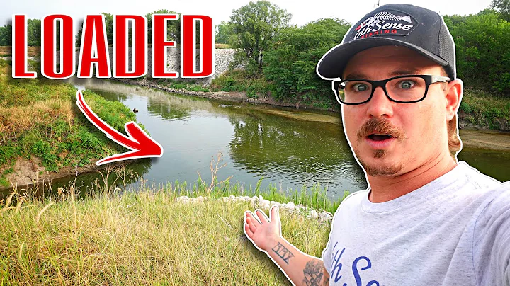 EVERYTHING Was Dumped In By This FEEDER CREEK!!! (...
