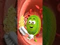 Human Body Kiwi #shorts #shortsvideo #viralshorts #ai #flowai