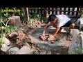 LEAVING CITY Renovate the yard || Build a fish pond & Beautiful garden || Rural Free Life