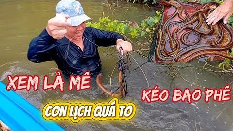 #560,#Cắm câu lịch dính liền con như vậy ai không mê.....