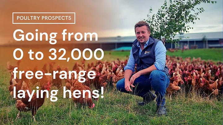 Henry Gibbs: From 0 to 32,000 free-range laying hens