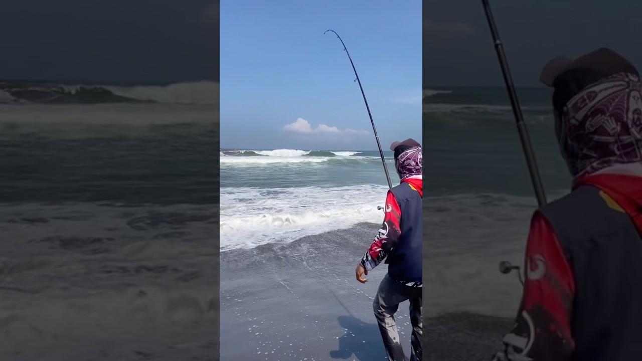 Joran melengkung tajam #fishing #fishingaustralia