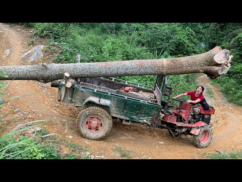 Agricultural vehicle transporting timber, capable of digging up giant tree stumps