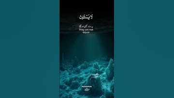 عبد الرحمن مسعد تلاوة جميلة #القرآن #الدين #شورتسفيد #يوتيوبشورتس #شورتس #تيك توك