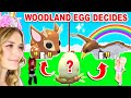 WOODLAND EGG DECIDES What We BUILD In Adopt Me! (Roblox)