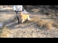 Ref:dQy3NFG-2hU Le doubs gel� � dole.wmv