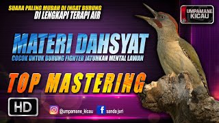 cocok untuk burung fighter jatuhkan mental lawan || TOP MASTERING MURAI BATU