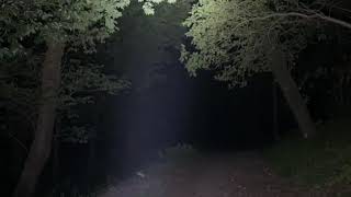 [ツイキャス] 心霊LIVE / 森に潜んでいる、悪霊の地縛霊 (2025.04.19)