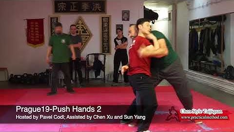 2019 Prague Practical Method Workshop Push Hands Training 2.
