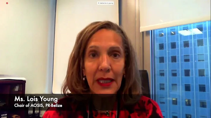 Opening Remarks  H E  Lois Young, PR   Belize, Cha...
