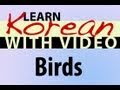 Learn Korean with Video - Birds