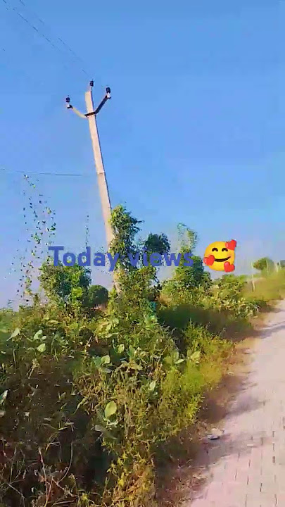 My village stadium 🏟️