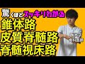 驚くほどスッキリわかる!! 皮質脊髄路 脊髄視床路 錐体路 神経の生理18【解剖生理学64】