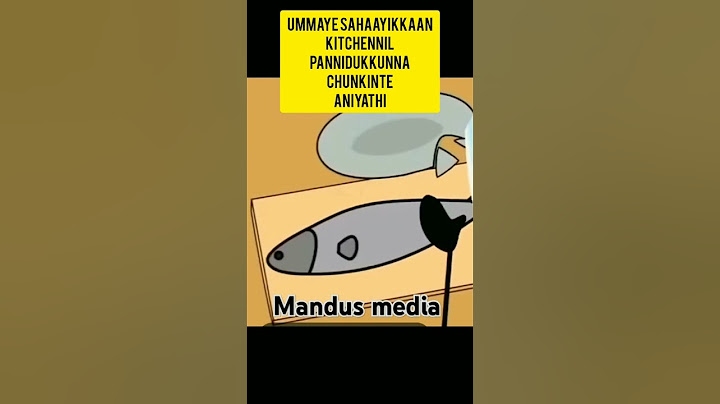 chunkinte aniyathinte oru kaaryam