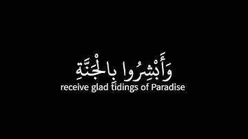 ناصر القطامي | ماتيسر من سورة فصلت - قرآن شاشة سوداء