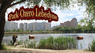 Kuğulu Göl Park Ozero Lebedyne Kharkivska Kiev Ukraine , Çekimi