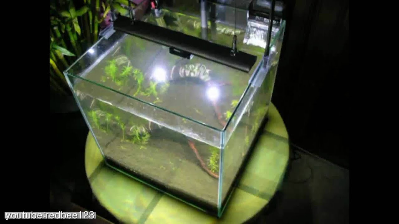 planted tank light