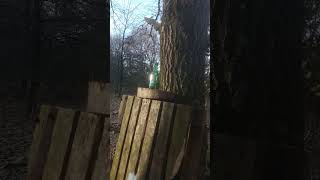 Famous Heineken? Fuck that shit! Pabst Blue Ribbon! Wealth