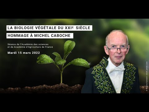 La biologie végétale du XXIe siècle - Hommage à Michel Caboche